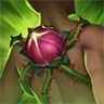 Crescimento Desenfreado - Champion Ability